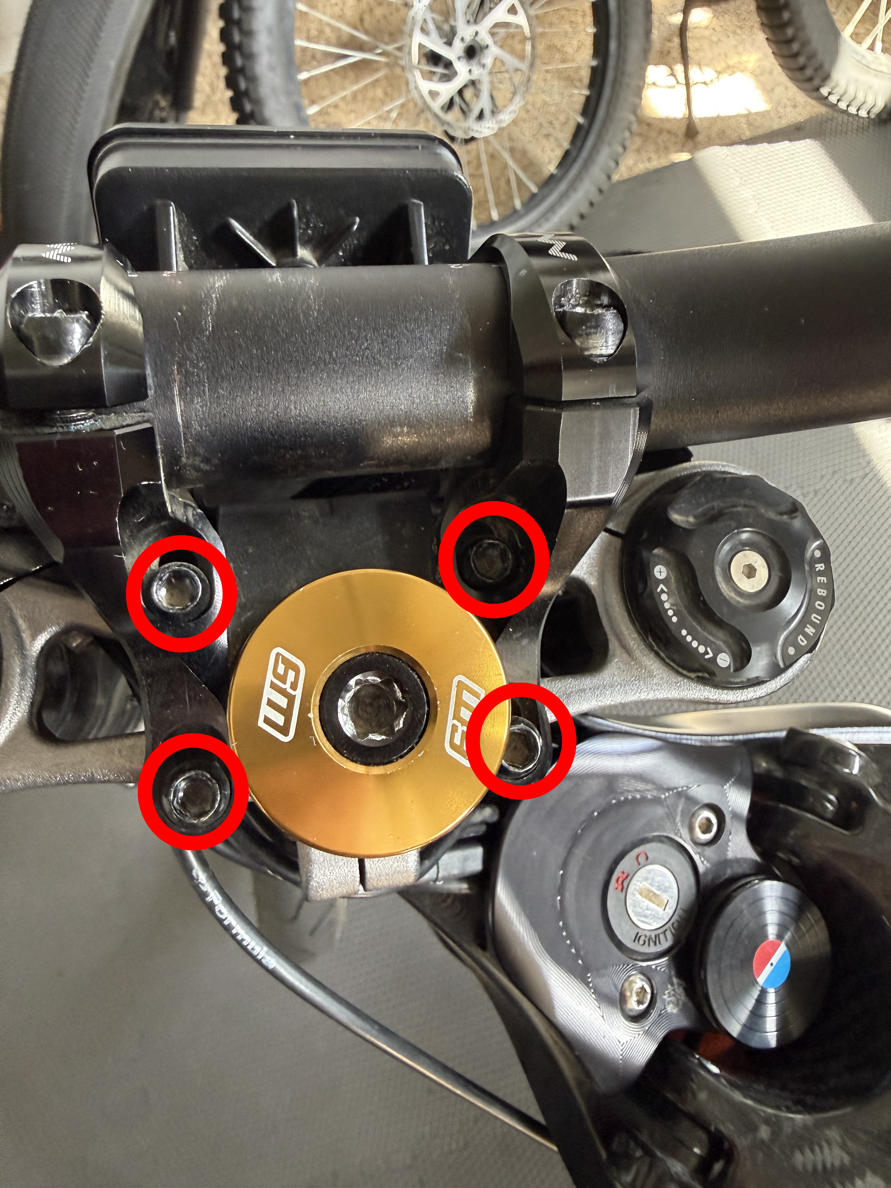 Titanium Direct Mount Bolts