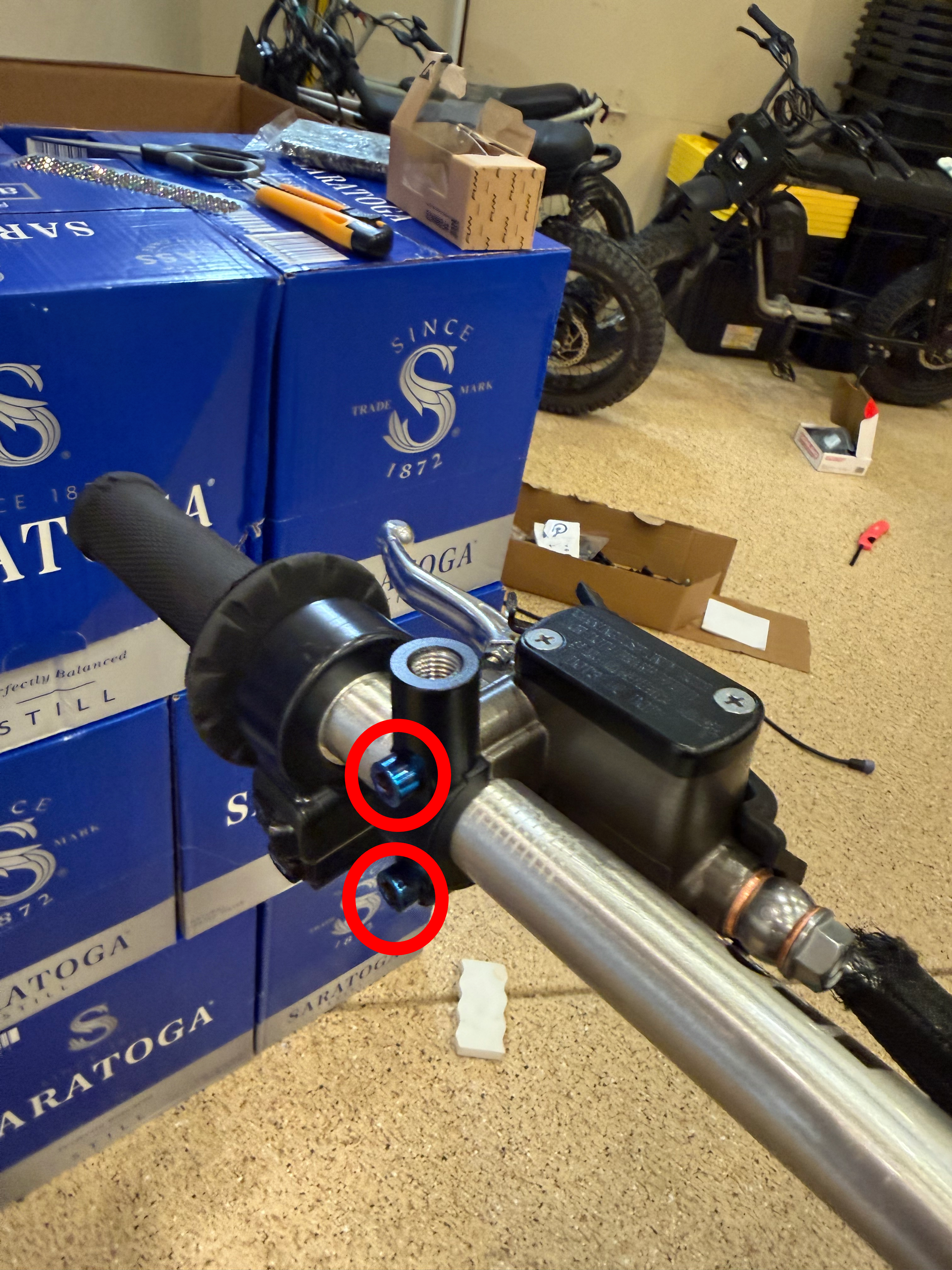 Titanium Ultra Bee Brake Mount Bolts